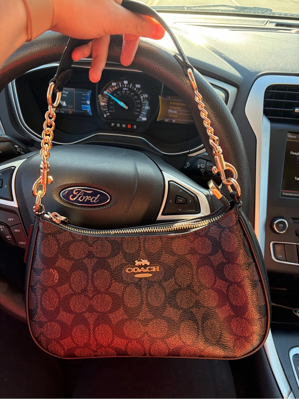 COACH Signature Teri Shoulder Bag in Brown/Black